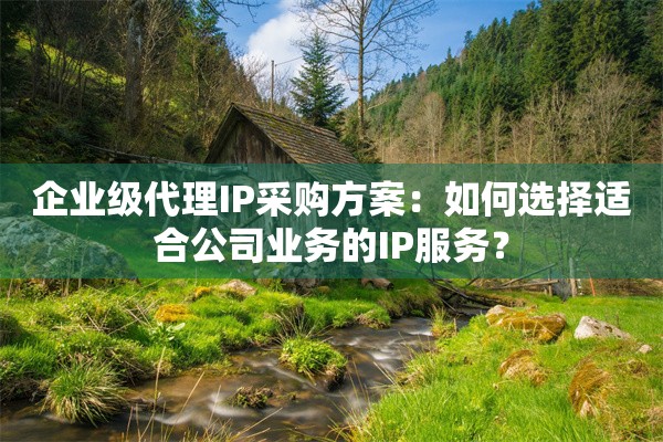 企业级代理IP采购方案:如何选择适合公司业务的IP服务?