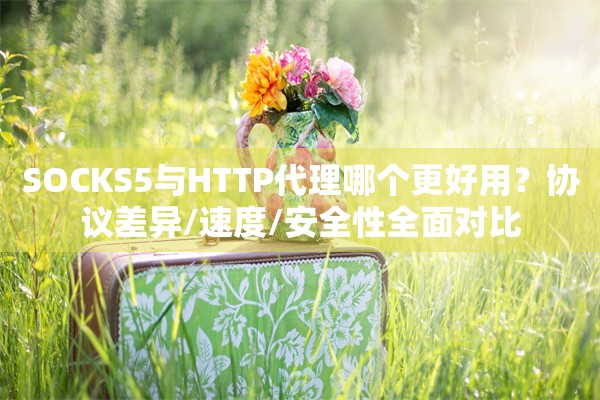 SOCKS5与HTTP代理哪个更好用？协议差异/速度/安全性全面对比