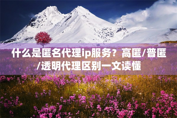 什么是匿名代理ip服务？高匿/普匿/透明代理区别一文读懂