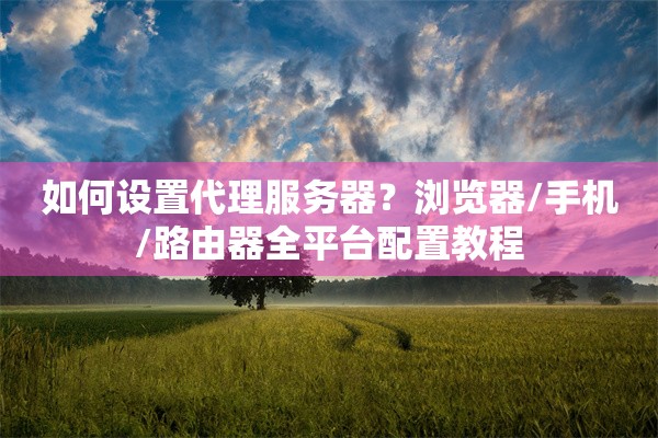 如何设置代理服务器？浏览器/手机/路由器全平台配置教程