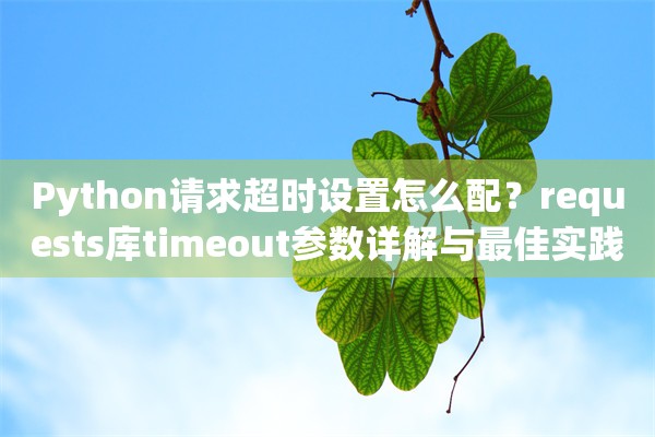 Python请求超时设置怎么配？requests库timeout参数详解与最佳实践