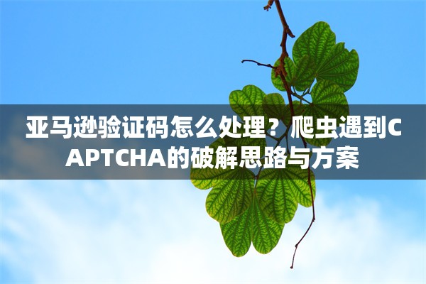 亚马逊验证码怎么处理？爬虫遇到CAPTCHA的破解思路与方案