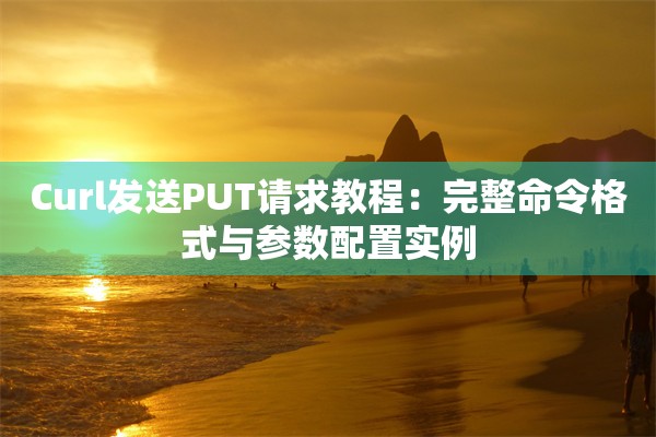 Curl发送PUT请求教程：完整命令格式与参数配置实例