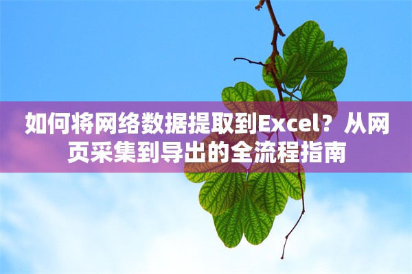 如何将网络数据提取到Excel？从网页采集到导出的全流程指南