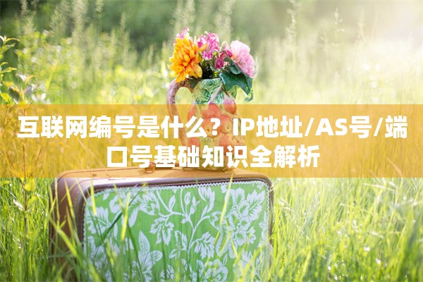 互联网编号是什么？IP地址/AS号/端口号基础知识全解析