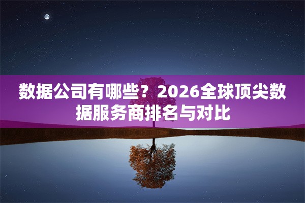 数据公司有哪些？2026全球顶尖数据服务商排名与对比