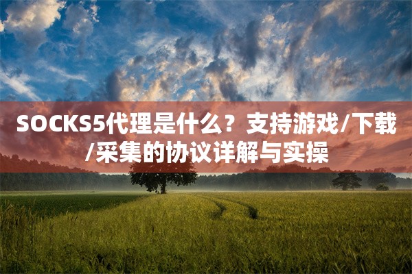 SOCKS5代理是什么？支持游戏/下载/采集的协议详解与实操