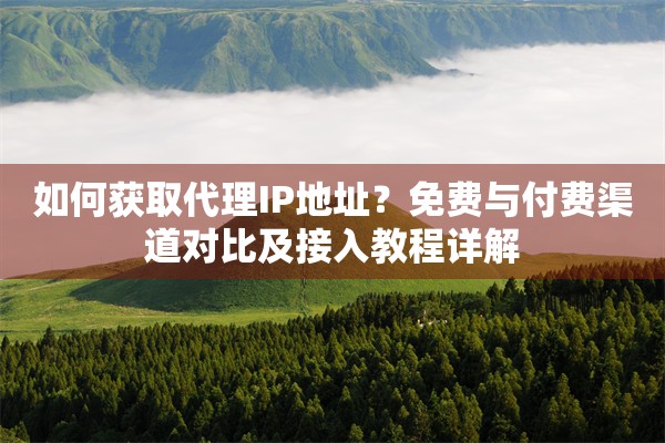 如何获取代理IP地址？免费与付费渠道对比及接入教程详解