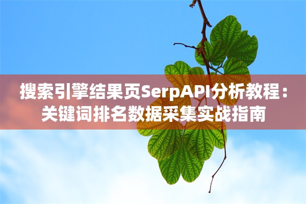 搜索引擎结果页SerpAPI分析教程：关键词排名数据采集实战指南
