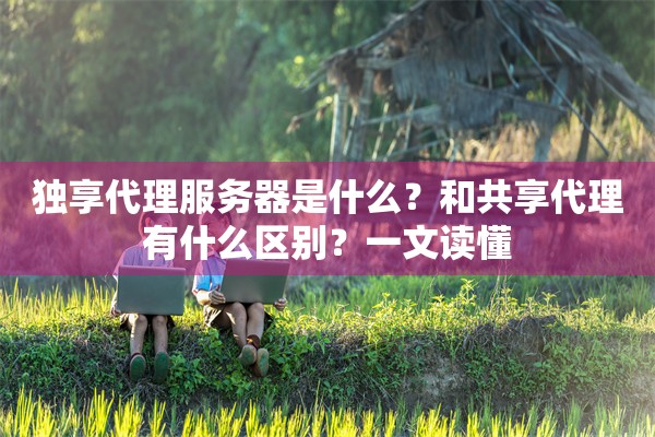 独享代理服务器是什么？和共享代理有什么区别？一文读懂