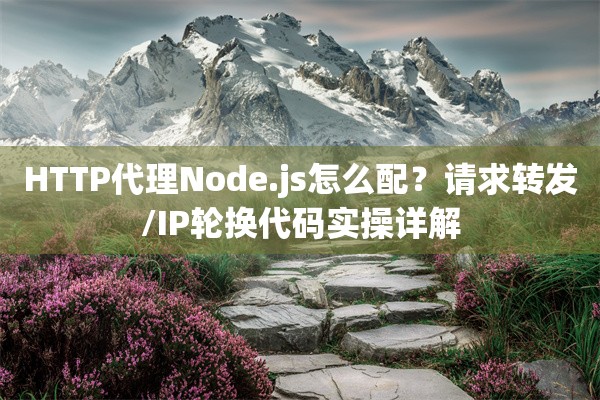 HTTP代理Node.js怎么配？请求转发/IP轮换代码实操详解