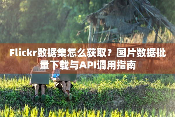 Flickr数据集怎么获取？图片数据批量下载与API调用指南