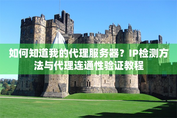 如何知道我的代理服务器？IP检测方法与代理连通性验证教程