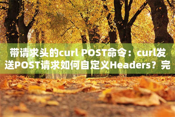 带请求头的curl POST命令：curl发送POST请求如何自定义Headers？完整参数详解与实操