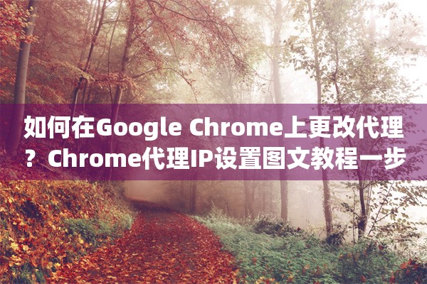如何在Google Chrome上更改代理？Chrome代理IP设置图文教程一步步教你搞定