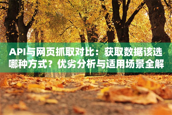 API与网页抓取对比：获取数据该选哪种方式？优劣分析与适用场景全解析