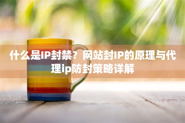 什么是IP封禁？网站封IP的原理与代理ip防封策略详解