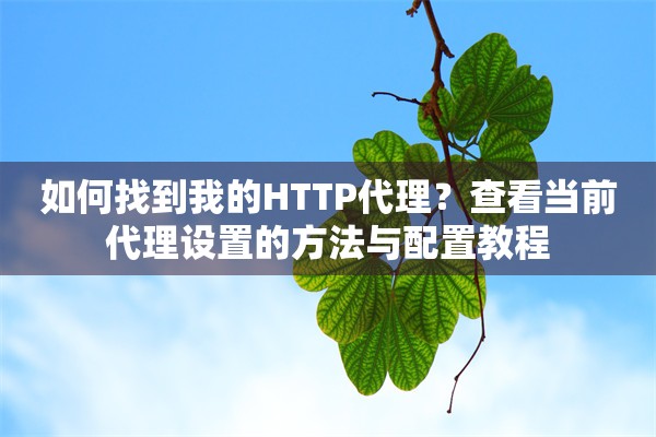 如何找到我的HTTP代理？查看当前代理设置的方法与配置教程