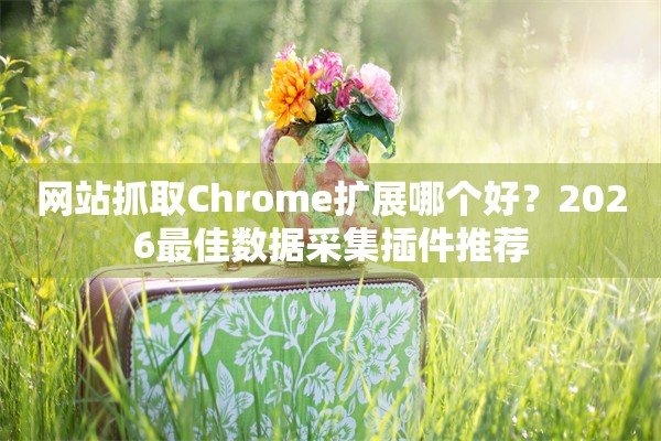 网站抓取Chrome扩展哪个好？2026最佳数据采集插件推荐