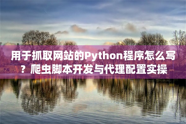 用于抓取网站的Python程序怎么写？爬虫脚本开发与代理配置实操