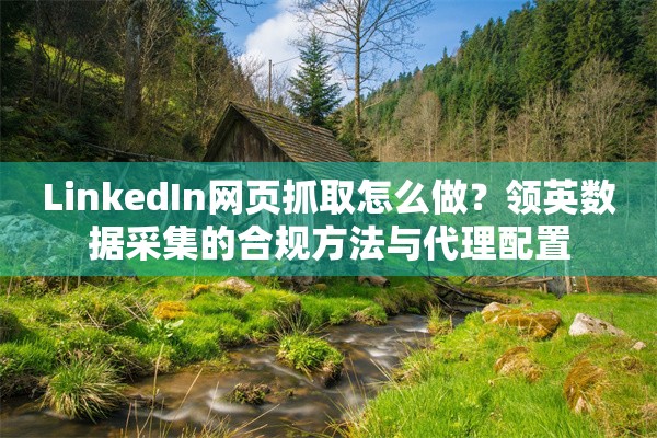 LinkedIn网页抓取怎么做？领英数据采集的合规方法与代理配置