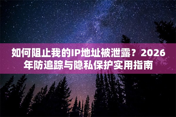 如何阻止我的IP地址被泄露？2026年防追踪与隐私保护实用指南