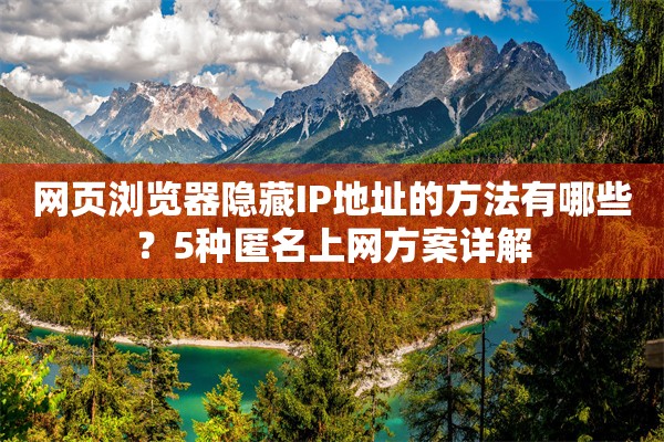 网页浏览器隐藏IP地址的方法有哪些？5种匿名上网方案详解