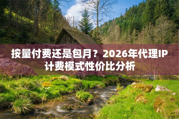 按量付费还是包月？2026年代理IP计费模式性价比分析