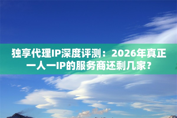 独享代理IP深度评测：2026年真正一人一IP的服务商还剩几家？
