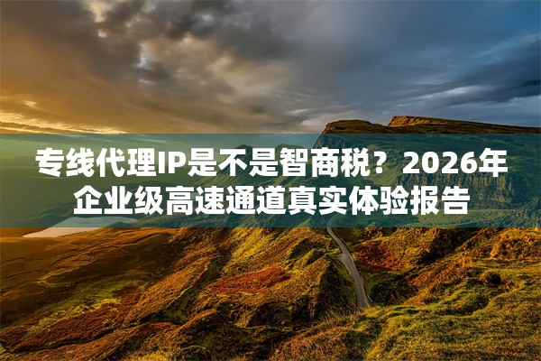 专线代理IP是不是智商税？2026年企业级高速通道真实体验报告