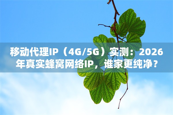 移动代理IP（4G/5G）实测：2026年真实蜂窝网络IP，谁家更纯净？