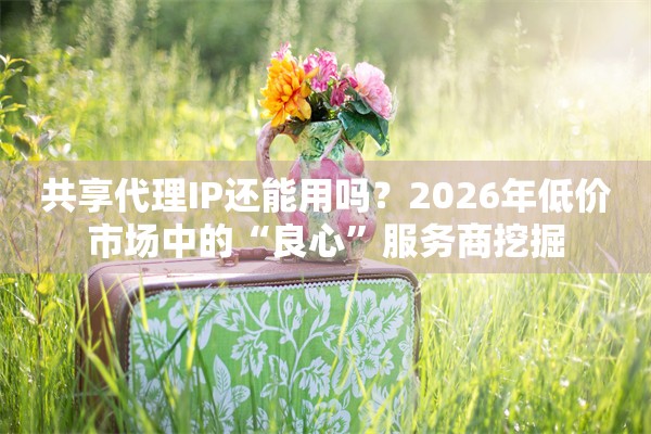 共享代理IP还能用吗？2026年低价市场中的“良心”服务商挖掘