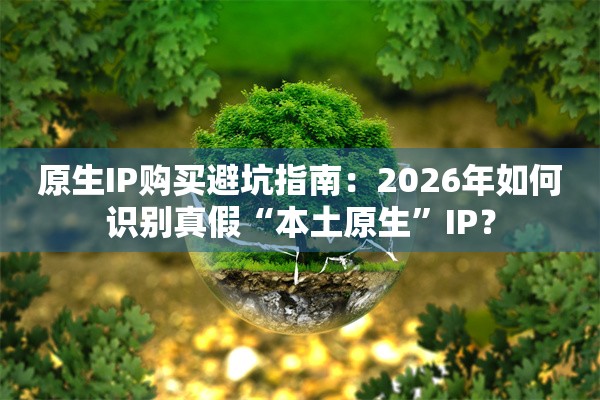 原生IP购买避坑指南：2026年如何识别真假“本土原生”IP？