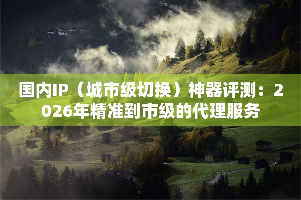 国内IP（城市级切换）神器评测：2026年精准到市级的代理服务