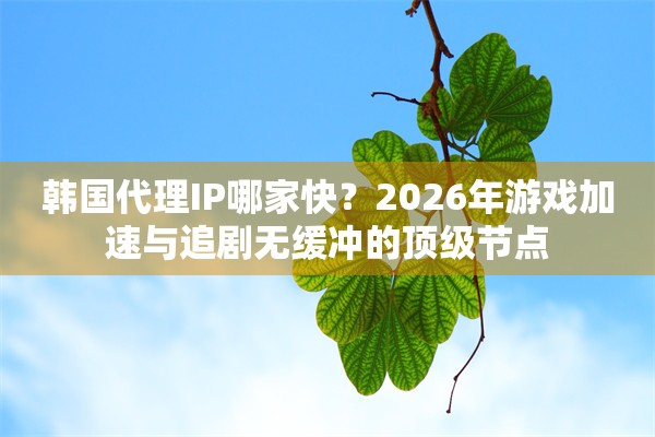 韩国代理IP哪家快？2026年游戏加速与追剧无缓冲的顶级节点