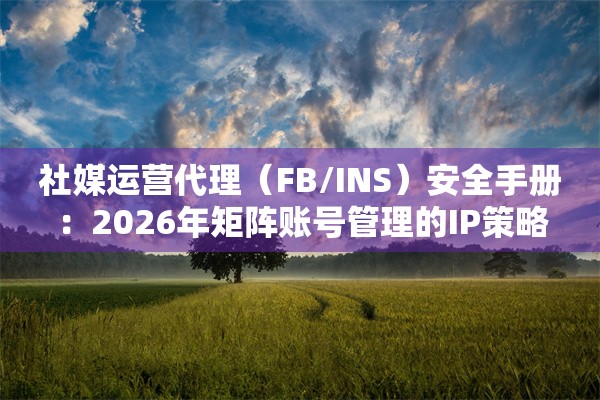 社媒运营代理（FB/INS）安全手册：2026年矩阵账号管理的IP策略