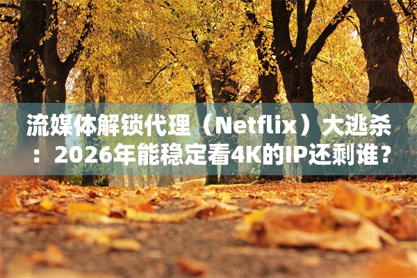 流媒体解锁代理（Netflix）大逃杀：2026年能稳定看4K的IP还剩谁？