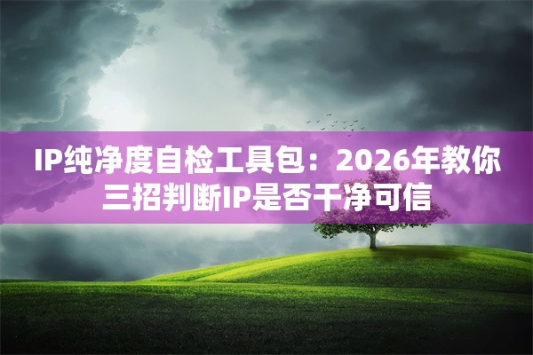 IP纯净度自检工具包：2026年教你三招判断IP是否干净可信