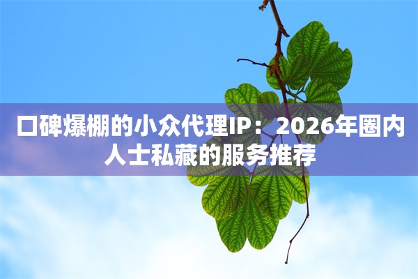 口碑爆棚的小众代理IP：2026年圈内人士私藏的服务推荐