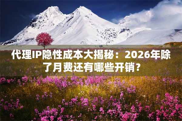 代理IP隐性成本大揭秘：2026年除了月费还有哪些开销？