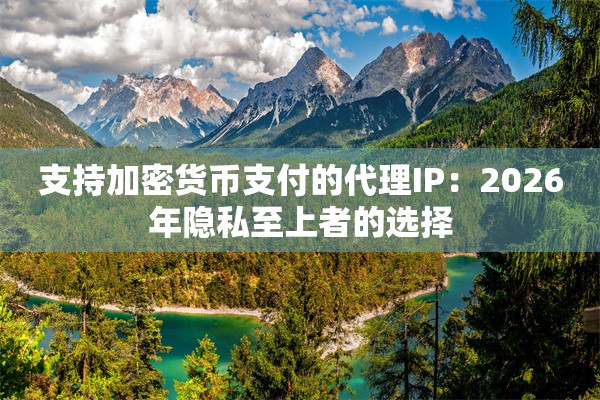 支持加密货币支付的代理IP：2026年隐私至上者的选择
