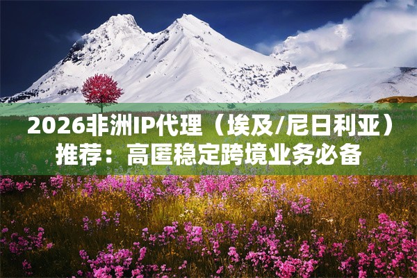 2026非洲IP代理（埃及/尼日利亚）推荐：高匿稳定跨境业务必备