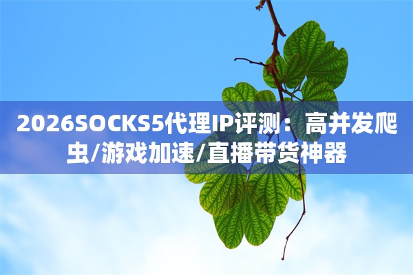 2026SOCKS5代理IP评测：高并发爬虫/游戏加速/直播带货神器