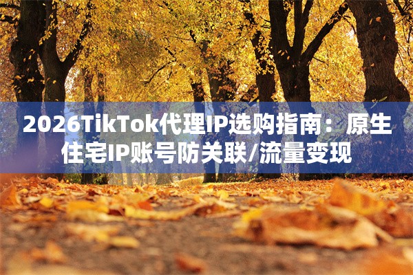 2026TikTok代理IP选购指南：原生住宅IP账号防关联/流量变现