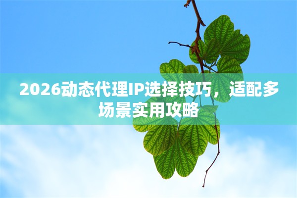 2026动态代理IP选择技巧，适配多场景实用攻略