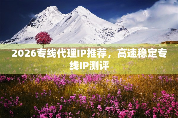 2026专线代理IP推荐，高速稳定专线IP测评