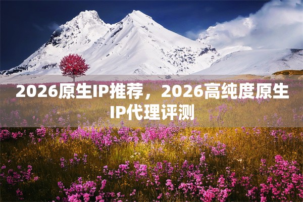 2026原生IP推荐，2026高纯度原生IP代理评测