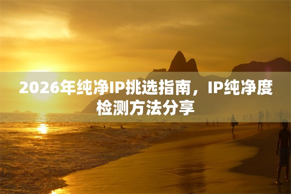 2026年纯净IP挑选指南，IP纯净度检测方法分享