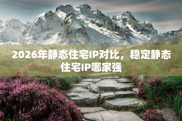 2026年静态住宅IP对比，稳定静态住宅IP哪家强