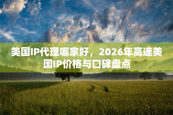 美国IP代理哪家好，2026年高速美国IP价格与口碑盘点